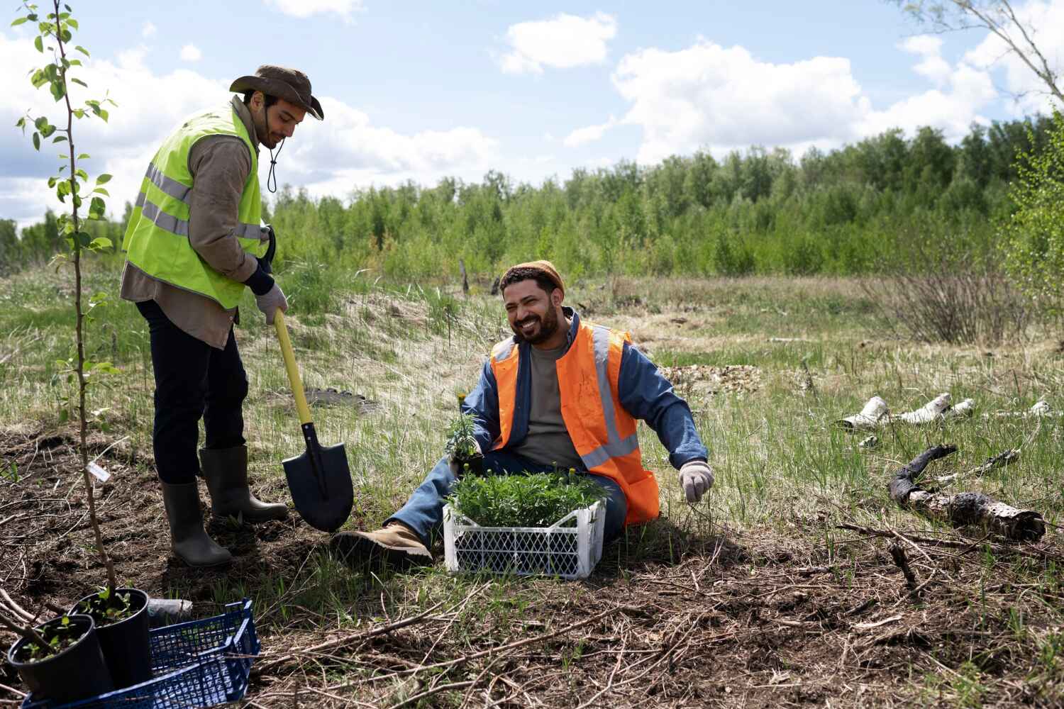 Best Best Tree Removal Services  in Fort Morgan, CO